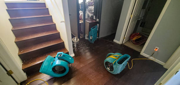 Water damage restoration experts in Lakesite, TN